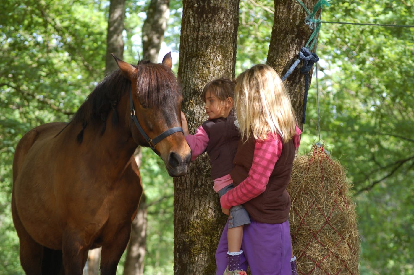 Poney club Laurma